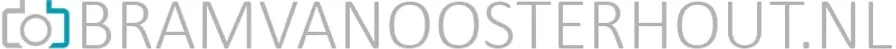 Bramvanoosterhout logo